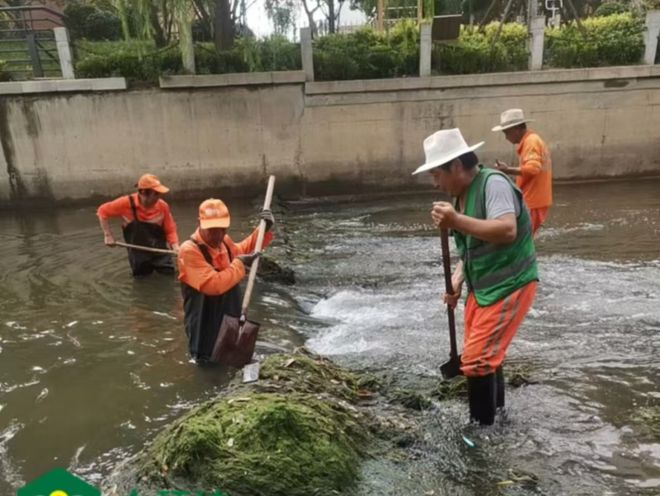 携手护绿水 淄博高新区开展河道清理工作(图2)